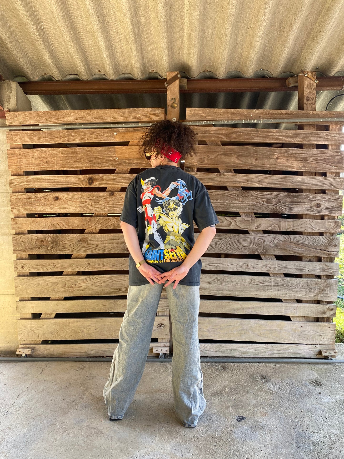 T-shirt Saint Seiya